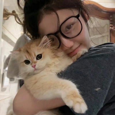 绝望主妇第三季